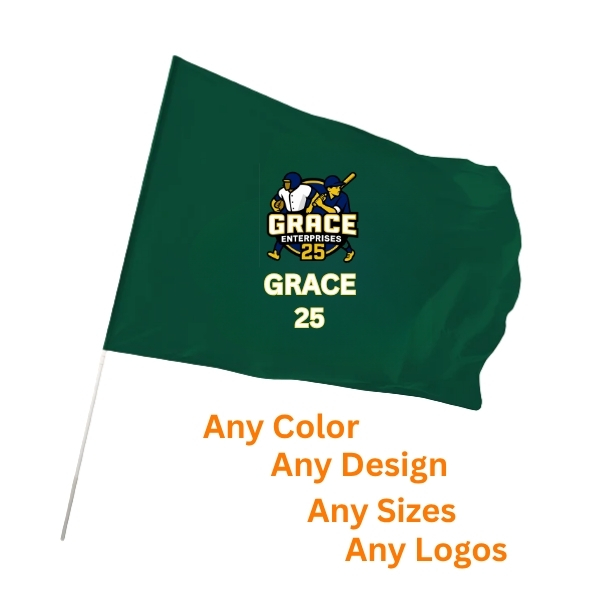 Team Flag GE - TF1