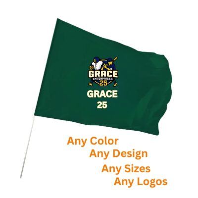 Team Flag GE - TF1